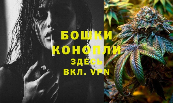 мдпв Бронницы