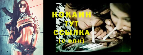 мдпв Бронницы