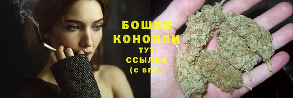 гидра Протвино