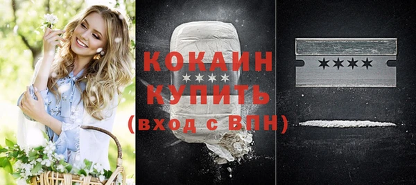 мдпв Бронницы